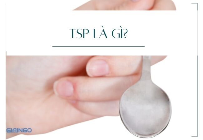 TSP là gì?