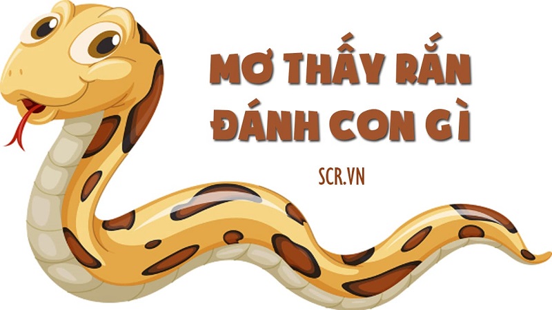 Đánh số đề con gì trong giấc mơ về rắn?