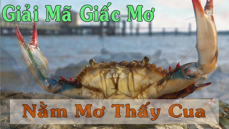 cua giải thích giấc ngủ