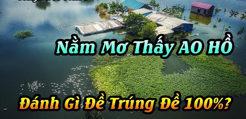 Tại sao ao mơ?
