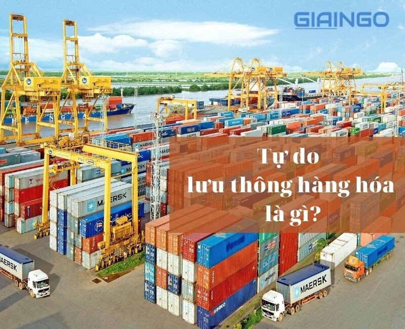 Chuyển động tự do của hàng hóa là gì?