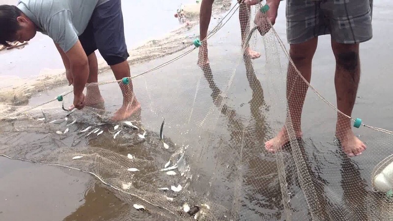 Tại sao mơ thấy bắt cá?