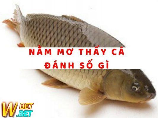 giấc mơ thấy bắt cá