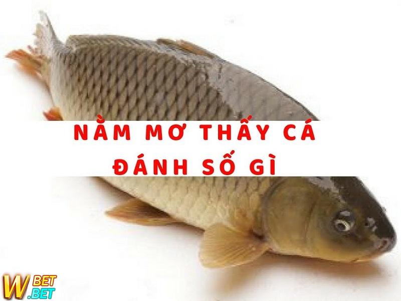 giấc mơ thấy bắt cá