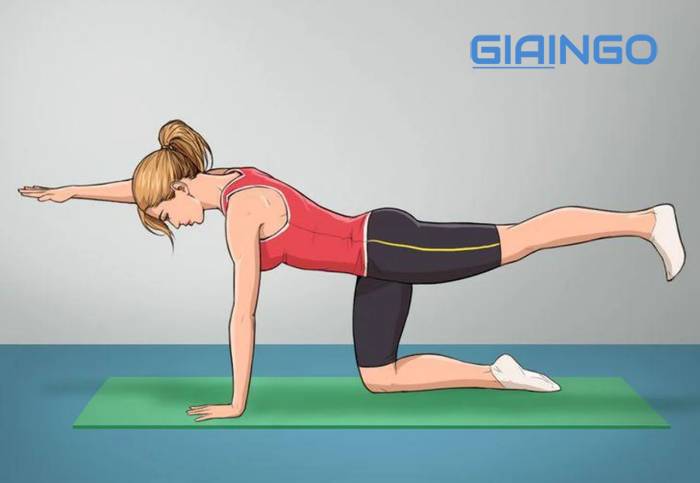 1 phút plank tương đương với bao nhiêu lần squat? Lợi ích của Plank Lưu ý khi Plank giảm mỡ bụng