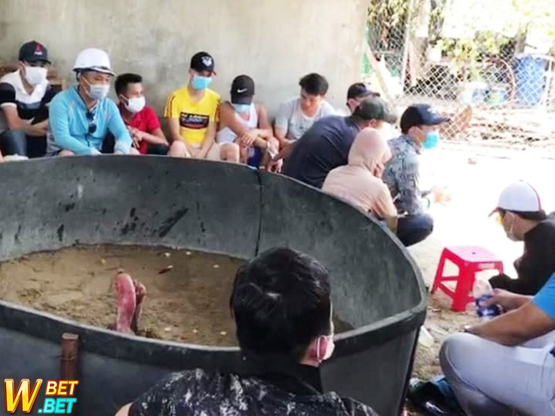 Bắt hàng chục đối tượng dàn cảnh đá gà trong rừng kiếm tiền