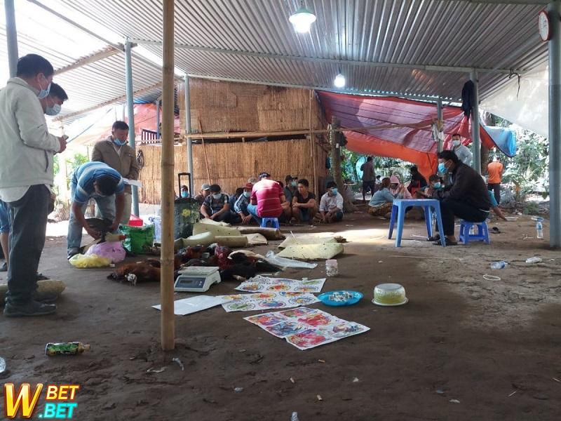 Tiền Giang: Triệt phá nhiều cơ sở đánh bạc.