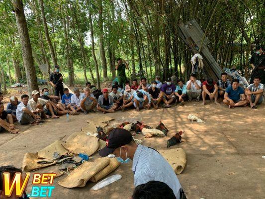 Bắt chọi gà người chơi phải chuyển tiền trước