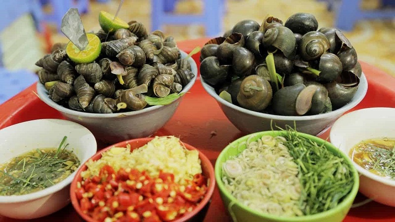 Tại sao mơ thấy ốc sên lại đánh lô đề? Số của con ốc là bao nhiêu?