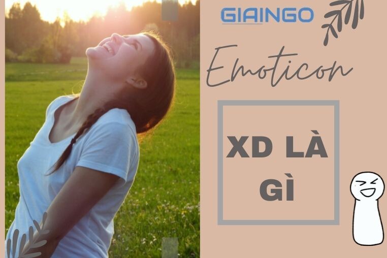 HD là gì? Biểu tượng cảm xúc phổ biến nhất hiện nay HD là gì?