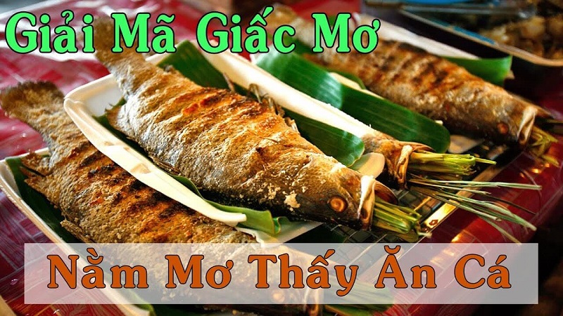 giải mã giấc mơ thấy ăn cá trong giấc mơ