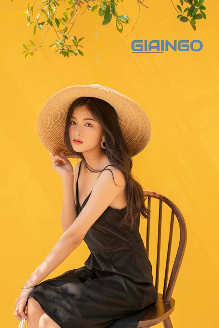 Phạm Nguyễn Lan Thi đang làm gì?