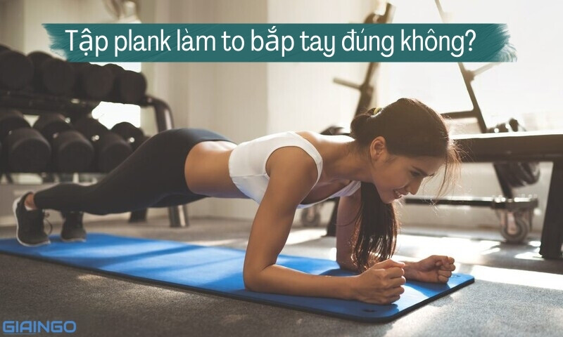 Bạn nên plank bao nhiêu lần một ngày? Làm thế nào để tập plank tap-plank-lam-to-bap-thai-dung-not