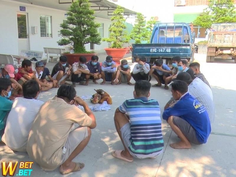 Bắt 26 người tham gia đá gà ăn tiền