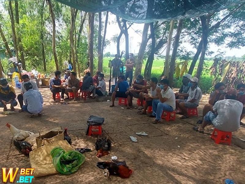  48 đối tượng bị bắt quả tang tụ tập đá, lắc và ăn tiền ở bãi đất hoang.