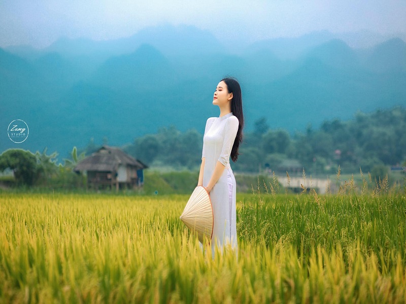 Hot girl Tao Wee khoe ảnh aozai 
