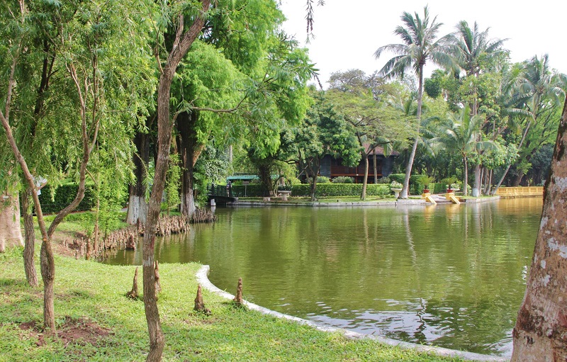Tại sao ao mơ? Giải mã giấc mơ thấy ao