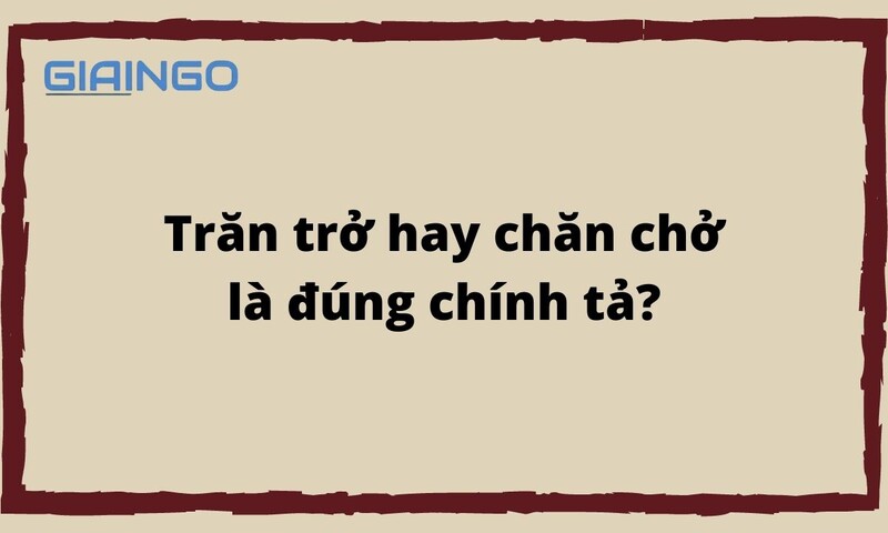 chăm sóc hoặc che chở - đúng chính tả