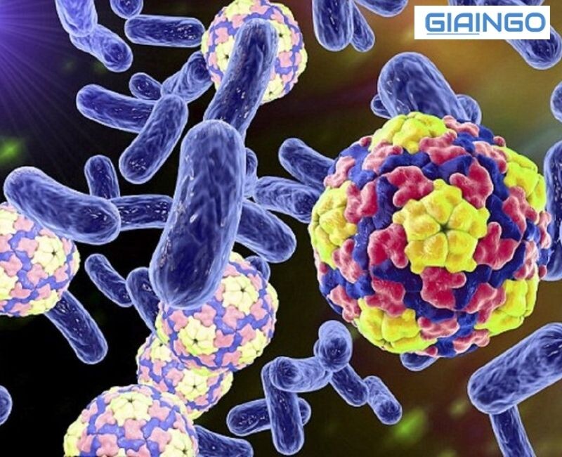 Ứng dụng của công nghệ gen