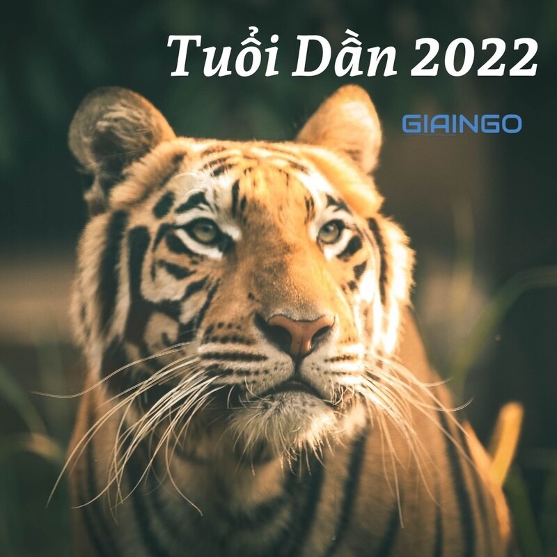 tử vi tuổi