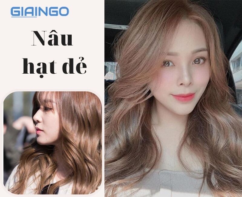 da ngăm nhuộm tóc màu gì