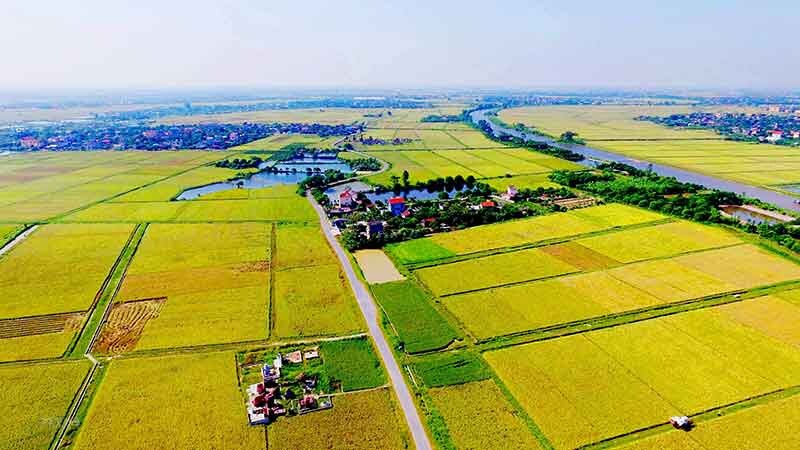 1 mét bắc bằng bao nhiêu mét?