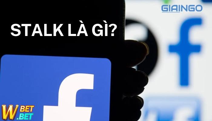 Stalk là gì