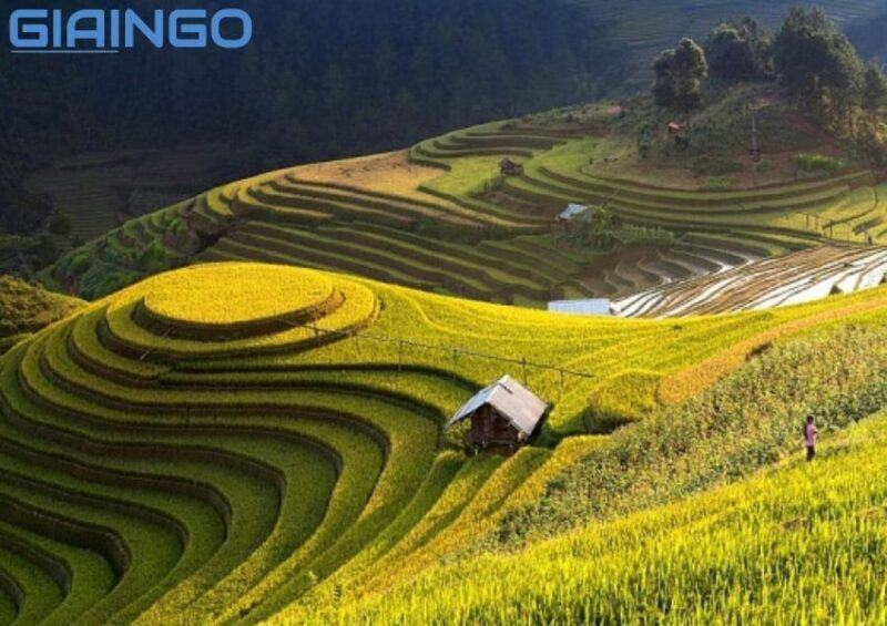 Vùng có mật độ dân số cao nhất nước ta