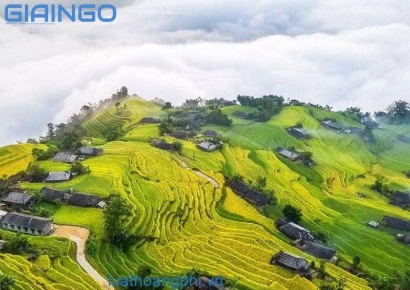 Vùng có mật độ dân số cao nhất nước ta