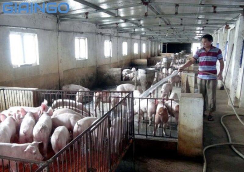 Đồng bằng sông Hồng dẫn đầu cả nước theo tiêu chí nào?