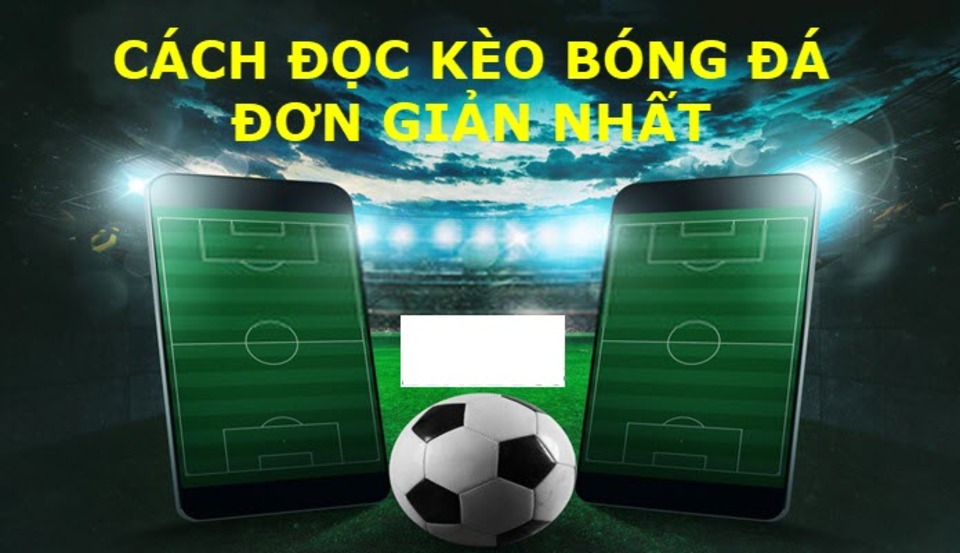 Cách đọc tỷ lệ kèo bóng đá trực tuyến đơn giản nhất trong 5 phút