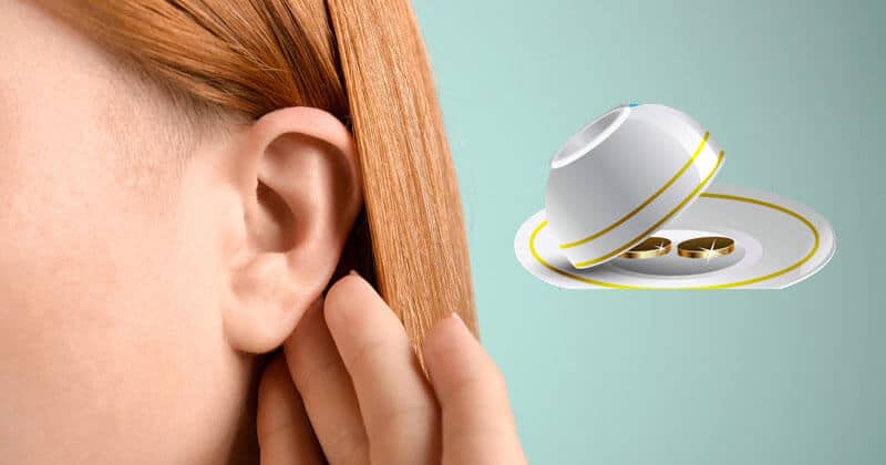 Cá đĩa có vị như thế nào?