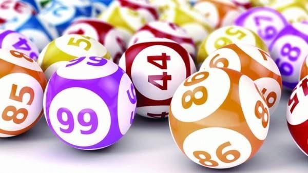 Cách nuôi dàn đề 56 số