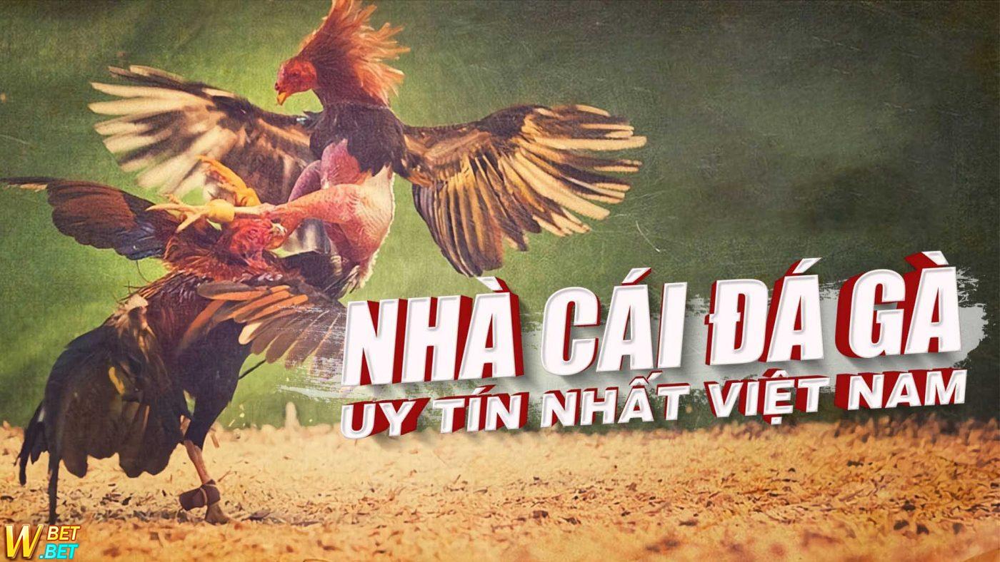chọi gà uy tín