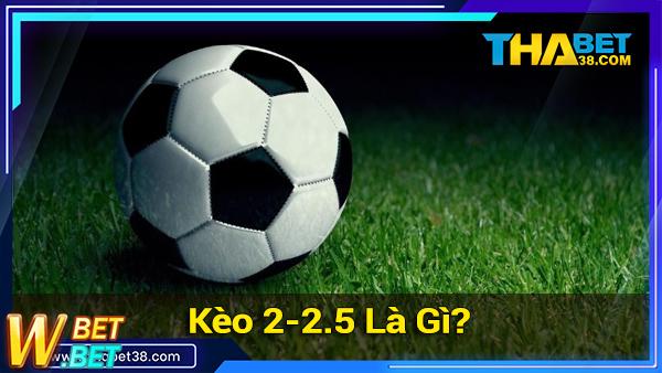 Cược chấp 2-2,5