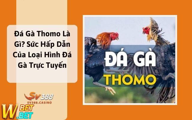 Đá Gà Thomo