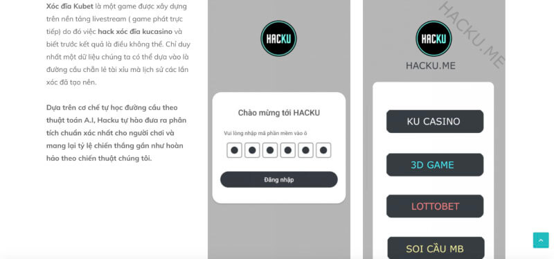 Công cụ Hack Webflow.io